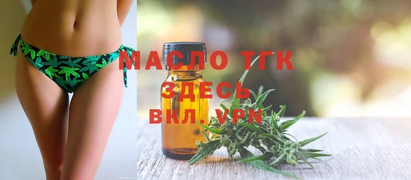 гашик Бородино