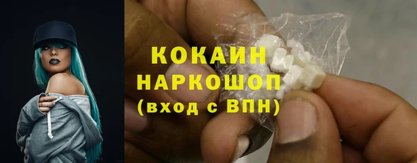 гашик Бородино