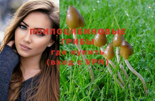спайс Бронницы