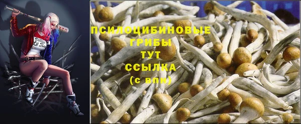 стафф Бугульма