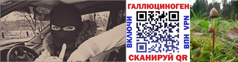 Галлюциногенные грибы мицелий  Власиха 